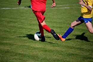 足球赛场焦点！巴西队对阵英格兰队，压哨绝杀，引爆全场观众欢呼